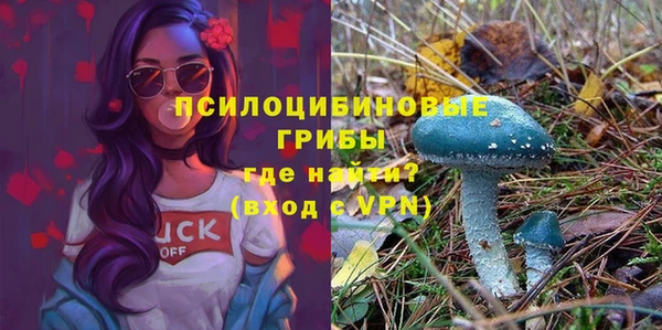 кокс Алзамай